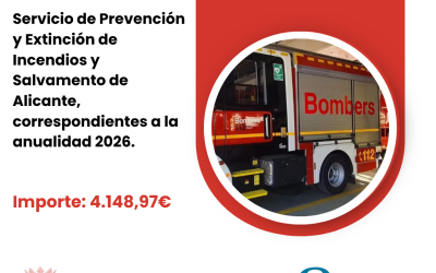 SUBVENCIÓN CONCEDIDA